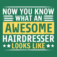 Now You Know What An Awesome Hairdresser Looks Lik Ladies Fitted T-shirt | Artistshot