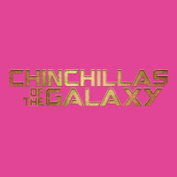 Chinchillas Of The Galaxy T-shirt | Artistshot