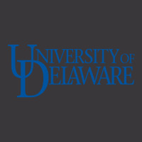 University Of Delaware Wordmark Ladies Curvy T-shirt | Artistshot