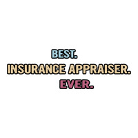 Best Insurance Appraiser Ever Nice Gift Idea (1) V-neck Tee | Artistshot