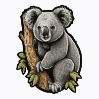 Koala Colour T-shirt | Artistshot