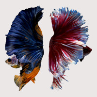 Beautiful Two Betta Fish Full Color Trending Pocket T-shirt | Artistshot