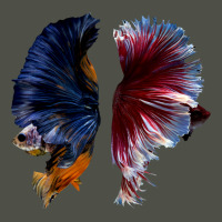 Beautiful Two Betta Fish Full Color Trending Fleece Short | Artistshot