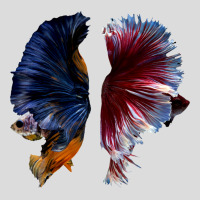 Beautiful Two Betta Fish Full Color Trending Men's Polo Shirt | Artistshot