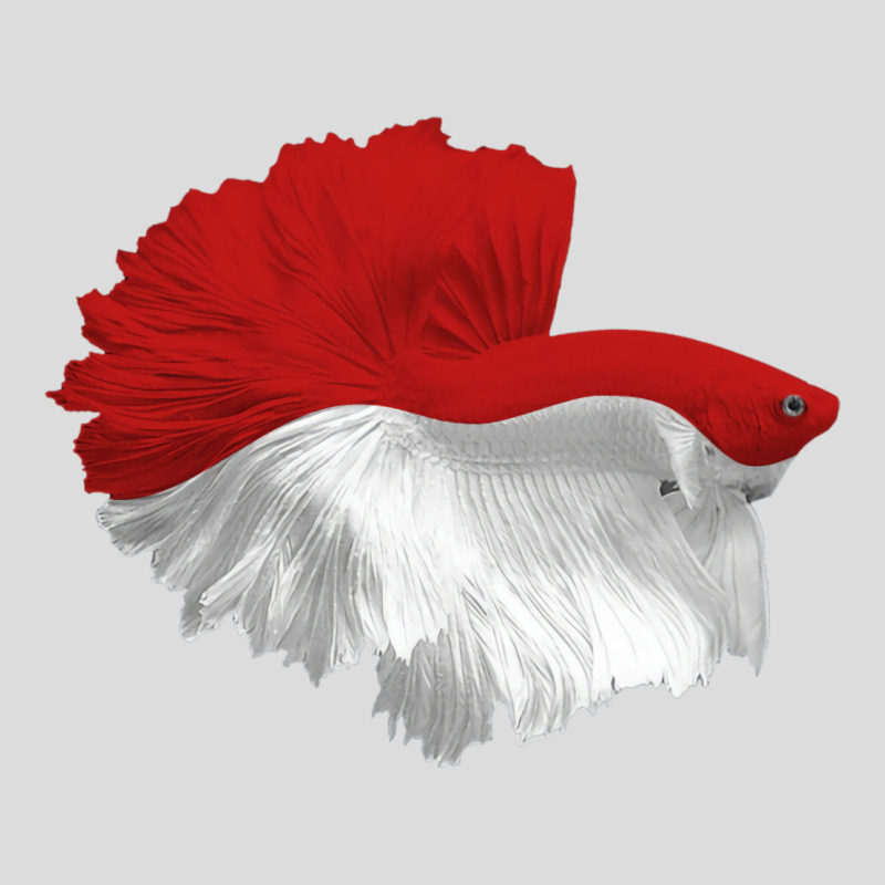 Awesome Betta Halfmoon Red And White Hippie Men's Polo Shirt by sbusiozald | Artistshot