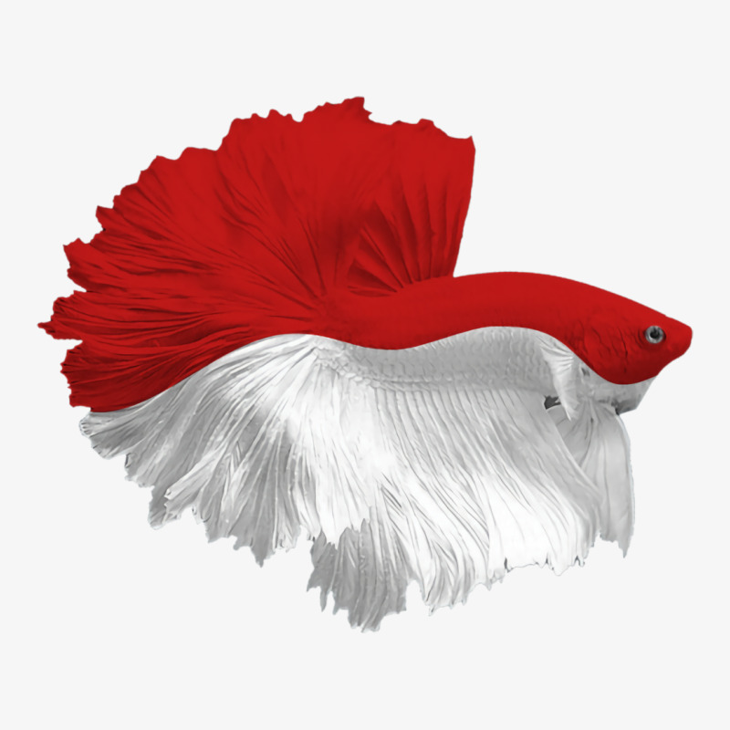 Awesome Betta Halfmoon Red And White Hippie Champion Hoodie by sbusiozald | Artistshot