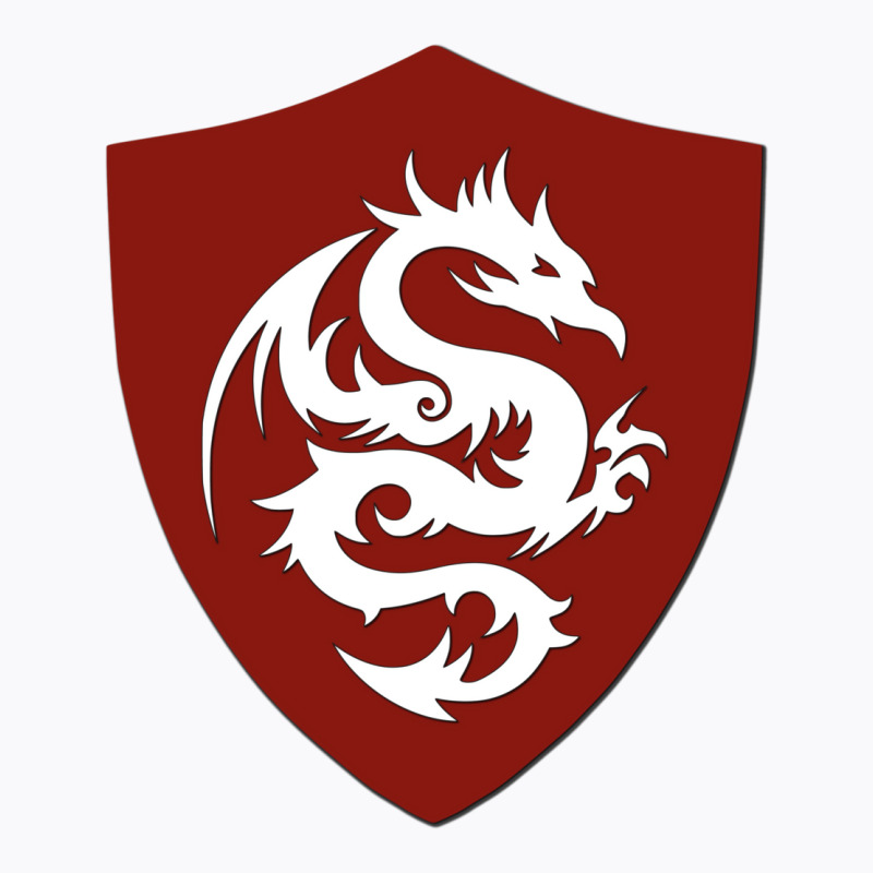 Heroic Dragon Shield T-Shirt by aguadoseagerk | Artistshot