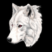 Albino Wolf Lightweight Hoodie | Artistshot