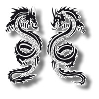 Beautiful Decorative Drawing For Two Dragons 3/4 Sleeve Shirt | Artistshot