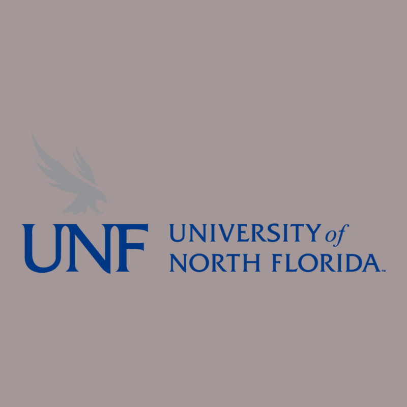 University Of North Florida Vintage Short | Artistshot