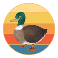 Cute Duck Vintage Retro Sunset Animal Lover Design Sticker | Artistshot