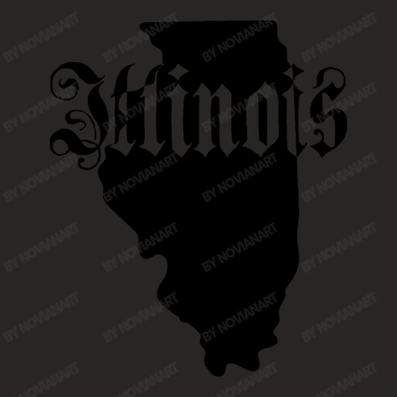 Illinois State Ladies Fitted T-Shirt by NovianArt | Artistshot