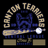 Canton Terriers Lightweight Hoodie | Artistshot