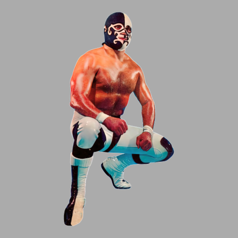 El Cobarde Lucha Libre T-Shirt by baidyavirendk | Artistshot