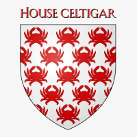 House Celtigar Coat Of Arms Heraldry Sigil   A Son Ladies Fitted T-shirt | Artistshot