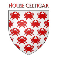 House Celtigar Coat Of Arms Heraldry Sigil   A Son Women's V-neck T-shirt | Artistshot