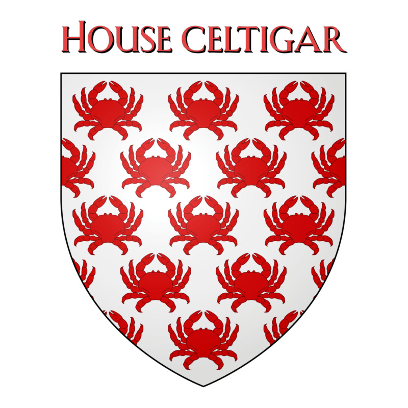 House Celtigar Coat Of Arms Heraldry Sigil   A Son Women's V-neck T-shirt | Artistshot