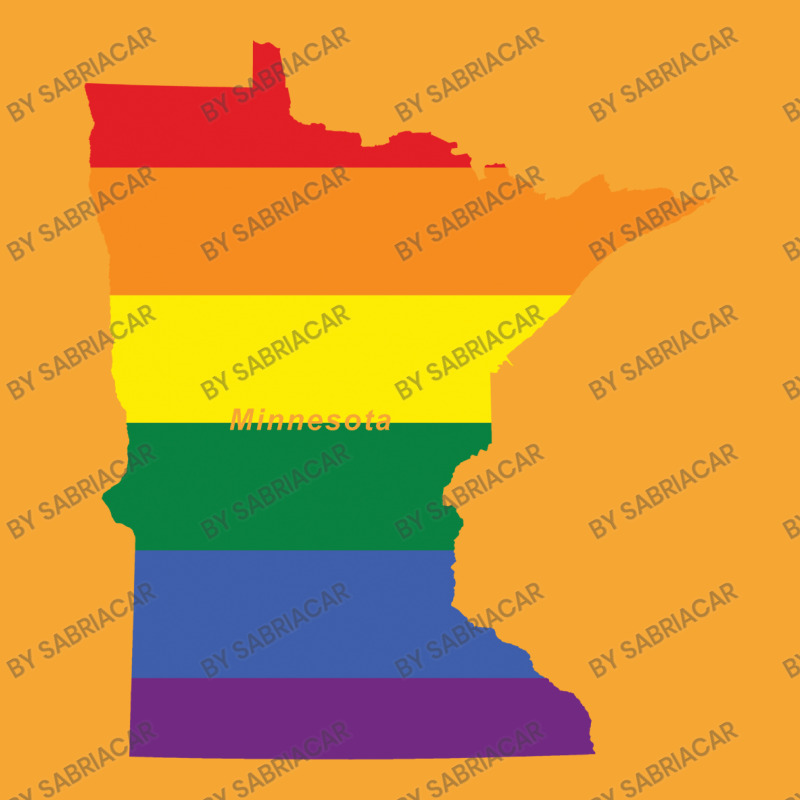 Minnesota Rainbow Flag Basic T-shirt | Artistshot