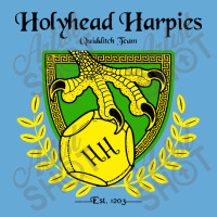 Holyhead Harpies Basic T-shirt | Artistshot