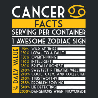 Facts Zodiac Sign Astro Twins Birthday Horoscope Crewneck Sweatshirt | Artistshot