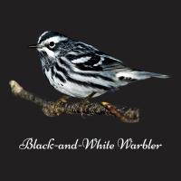 Bird Blackandwhite Warbler Ornithology T-shirt | Artistshot