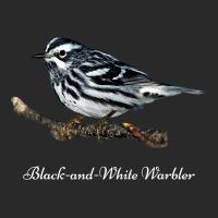 Bird Blackandwhite Warbler Ornithology Printed Hat | Artistshot