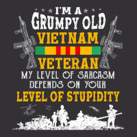 Mens Veterans Day I Am A Grumpy Old Vietnam Vetera Vintage Hoodie And Short Set | Artistshot