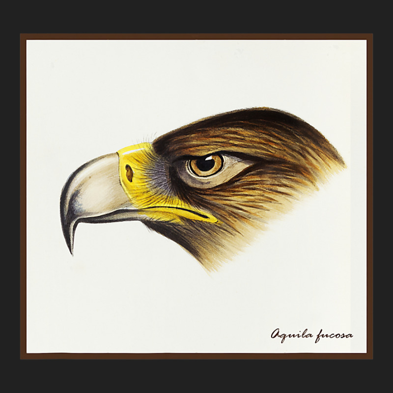 Wedge Tail Eagle Aquila Fucosa Bird Of Prey Birdin Basic T-shirt by ZaidenHendricks | Artistshot