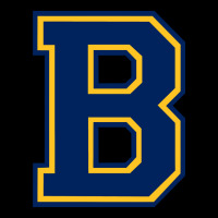 Bellevue High School Sports, Bellevue V-neck Tee | Artistshot