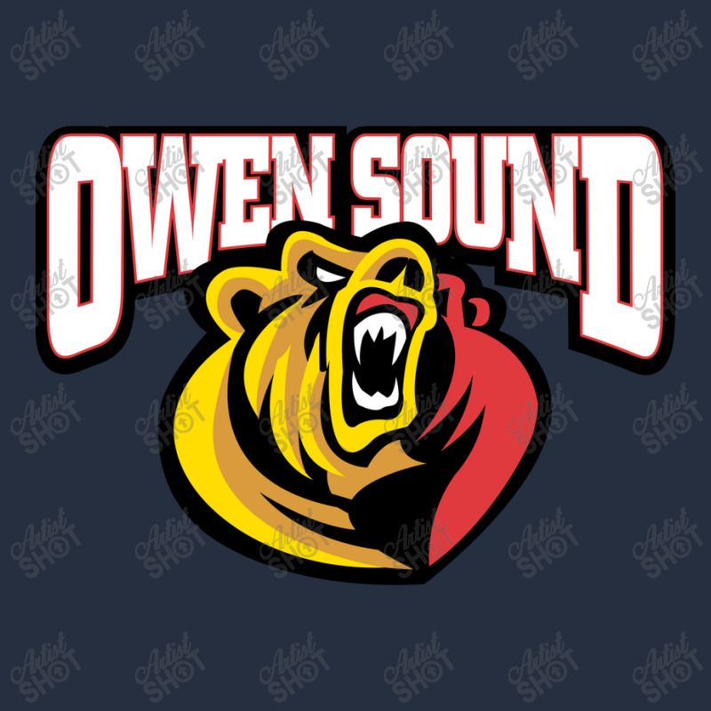 Ontario Hockey League Ladies Fitted T-Shirt by Atella shop | Artistshot