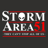 Storm Area 51 2 Champion Hoodie | Artistshot