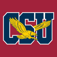 Coppin State Eagles L Basic T-shirt | Artistshot