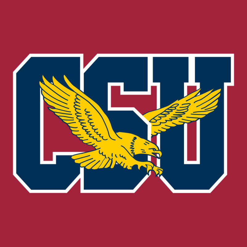 Coppin State Eagles L Basic T-shirt | Artistshot