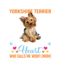 So There's This Yorkshire Terrier Who Kinda Stole My Heart Who Calls M Raglan Crop Top | Artistshot