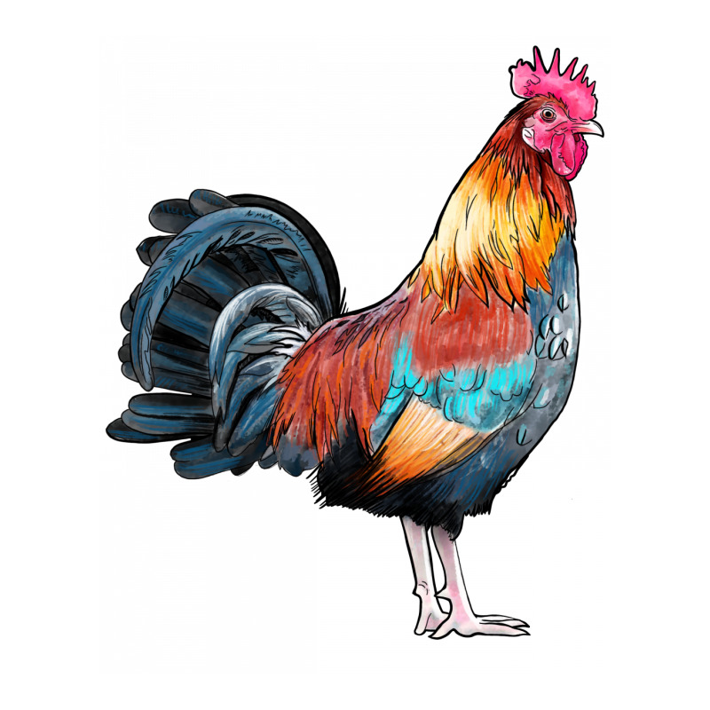 Watercolor Clipart Rooster Raglan Crop Top | Artistshot