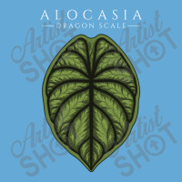 Alocasia Dragon Scale Aroid Plant Lover Anthurium Philodendron Basic T-shirt | Artistshot