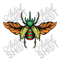 Insect 8 Raglan Crop Top | Artistshot