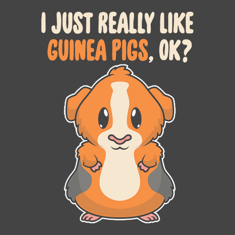 I Just Really Like T  Shirt I Just Really Like Guinea Pigs O K Basic T-shirt | Artistshot