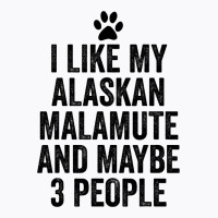 I Like My Alaskan Malamute And Maybe 3 People Funn T-shirt | Artistshot