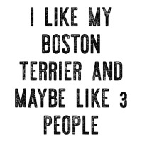 I Like My Boston Terrier And Maybe Like 3 People Raglan Crop Top | Artistshot