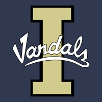 Idaho Vandals Football Team Basic Youth T-shirt | Artistshot