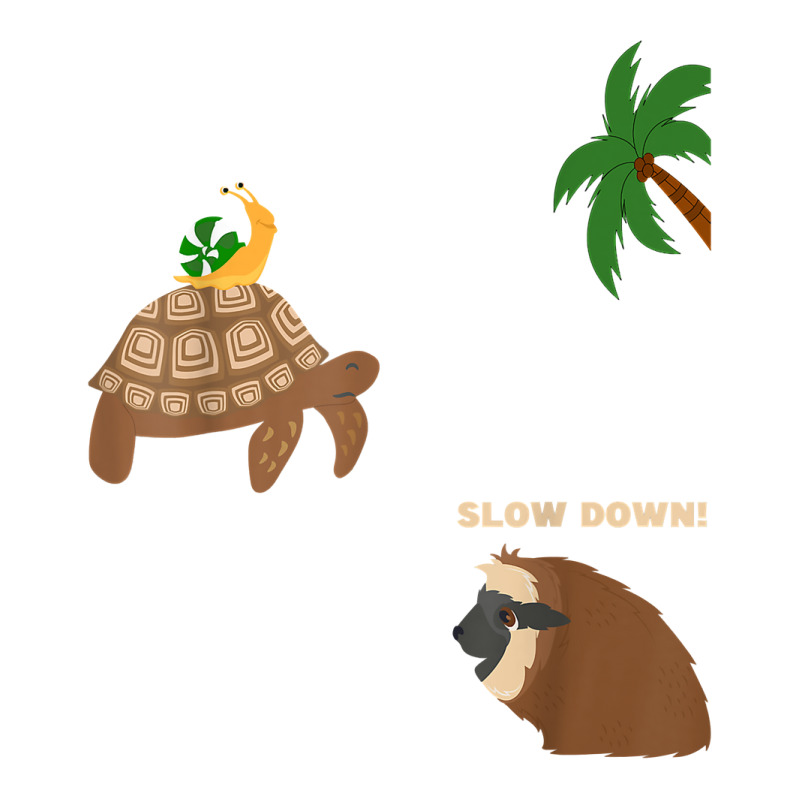 Sloth And Turtle Snail Running T Shirt Raglan Crop Top by Smykowskicalob1991 | Artistshot