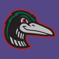 Great Lakes Loons Basic T-shirt | Artistshot