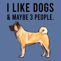 Funny I Like Akita Dogs And Maybe 3 People 2 Lightweight Hoodie | Artistshot