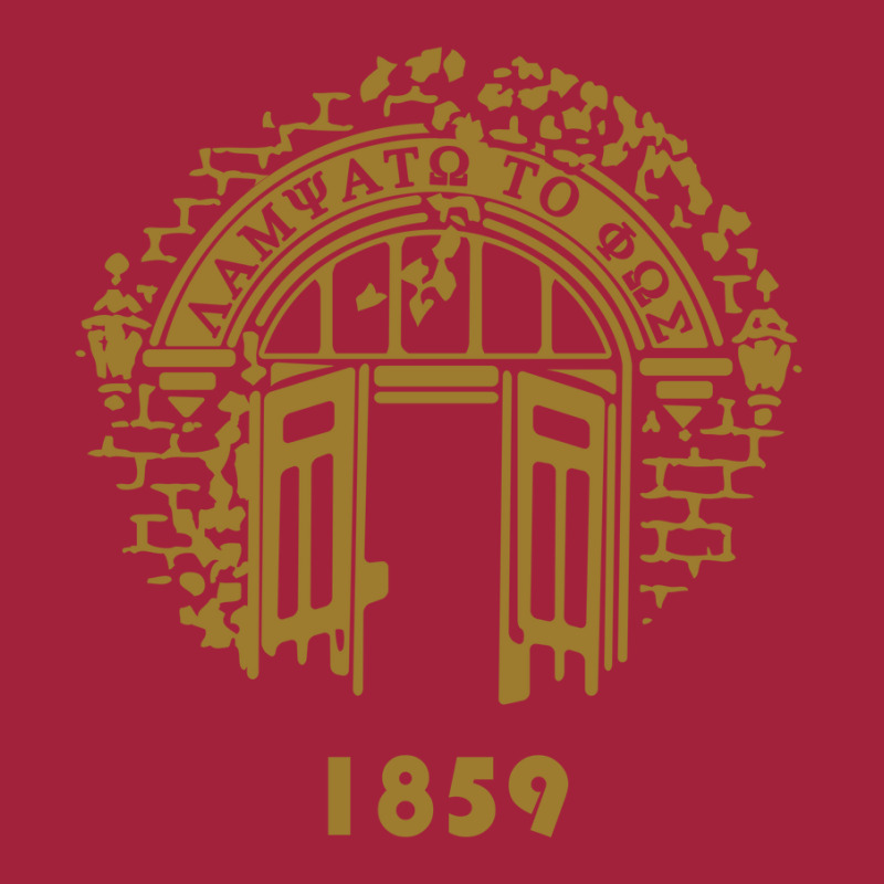 University In United States Basic T-shirt by tonyleo | Artistshot