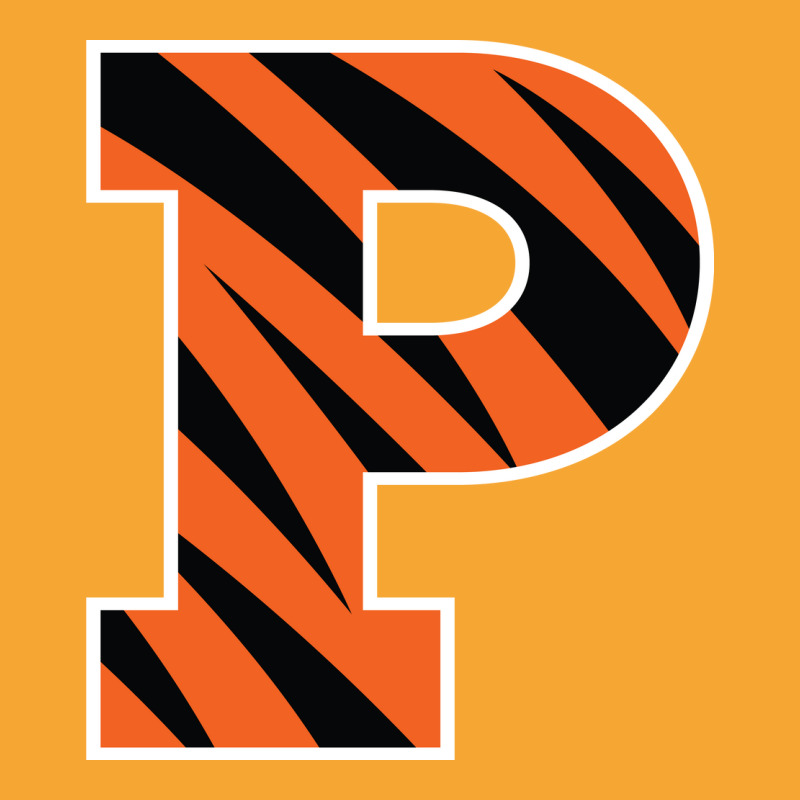 The-princeton-tiger Basic T-shirt by Rayas | Artistshot