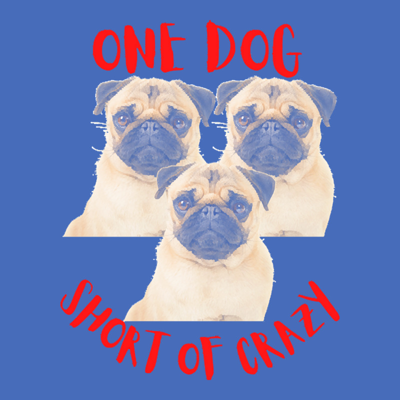 One Dog Short Of Crazy T  Shirtone Dog Short Of Crazy T  Shirt (10) Basic T-shirt | Artistshot