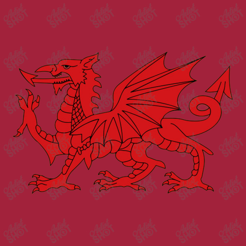 Welsh Red Dragon, Welsh Prides, From Flag Of Wales   Dragon Basic T-shirt | Artistshot