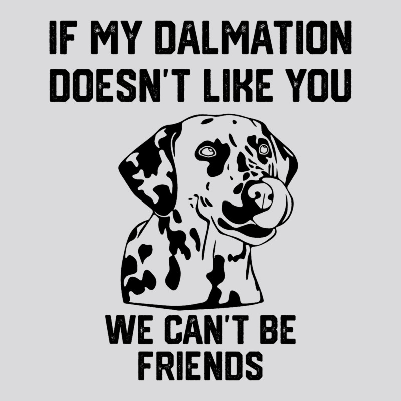 If My Dalmatian Doesnt Like You We Cant Be Friends Women's Triblend Scoop T-shirt by AyderStoner | Artistshot