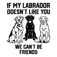 If My Labrador Doesnt Like You We Cant Be Friends  Zipper Hoodie | Artistshot